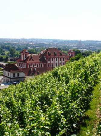 vinobrani