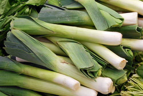 leek