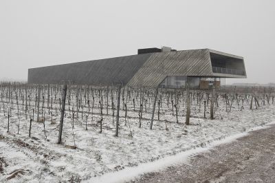 weingut rakousko