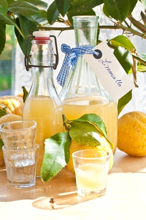 limoncello